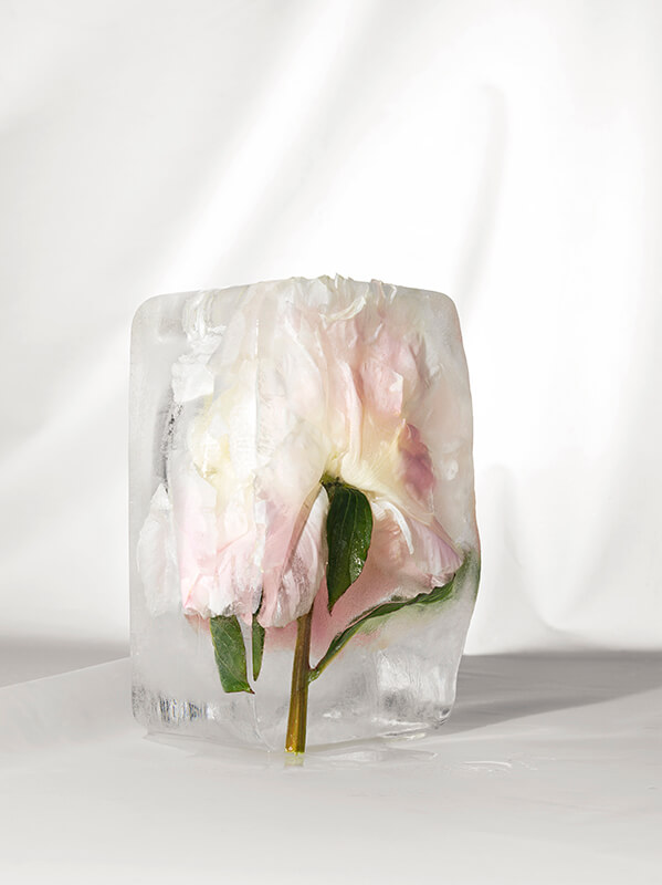 08_ICEFLOWER_LDF_0032-33